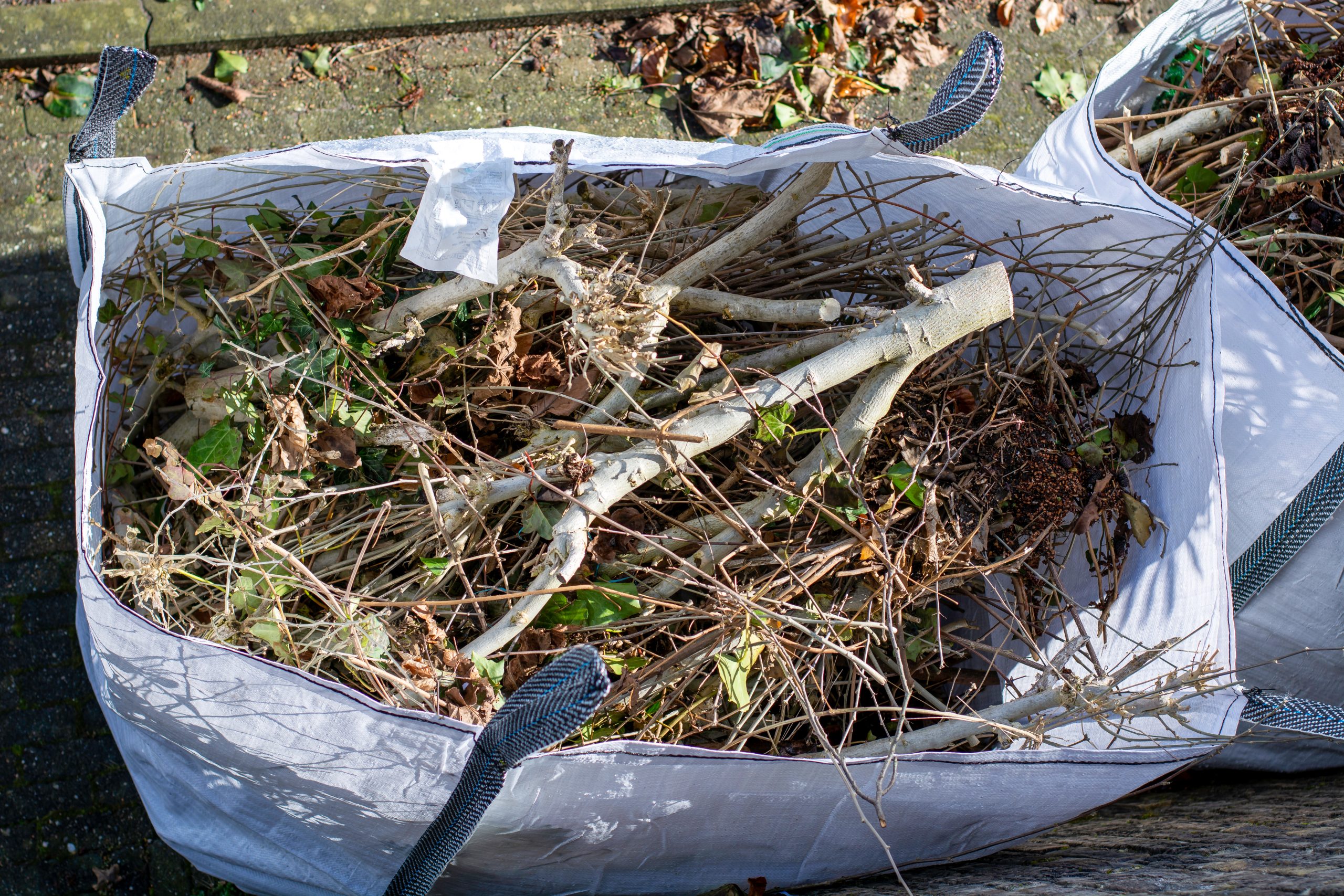 Garden Clearance Battersea SW11